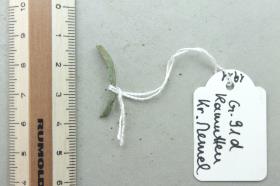 Ringfragment