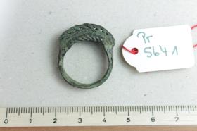 Fingerring
