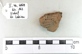Gefäßfragment