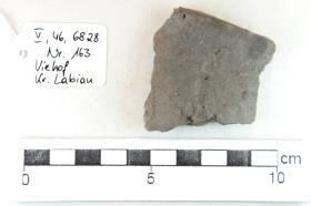 Gefäßfragment