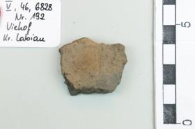 Gefäßfragment