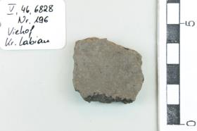 Gefäßfragment