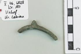 Stachelspornfragment