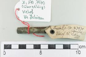 Armringfragment