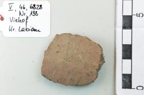 Gefäßfragment