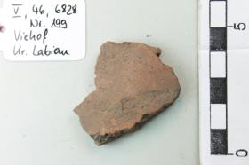 Gefäßfragment