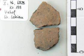 Gefäßfragment