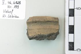 Gefäßfragment