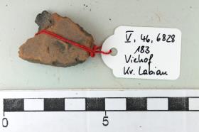 Gefäßfragment