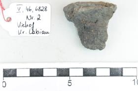 Gefäßfragment
