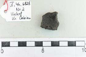 Gefäßfragment