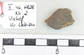 Gefäßfragment