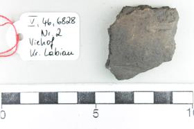 Gefäßfragment