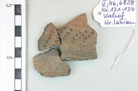 Gefäßfragment