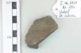 Gefäßfragment