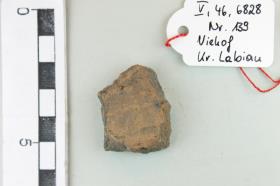 Gefäßfragment
