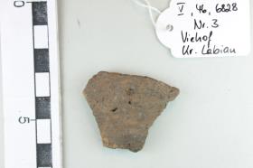 Gefäßfragment