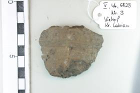 Gefäßfragment