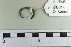 Fingerring