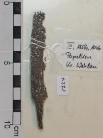 Eisenmesser