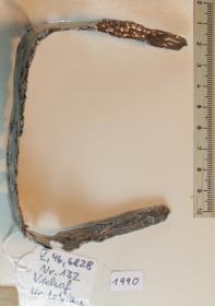 Steigbügelfragment