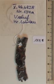 Steigbügelfragment