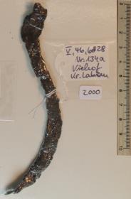 Steigbügelfragment