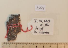 Gürtelbeschlagfragment