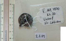 Glockenfragment vom Zaumzeug