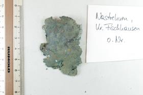 Bronzeschalenfragment