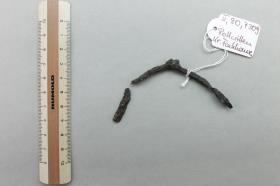 Steigbügelfragment