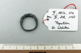 Fingerring