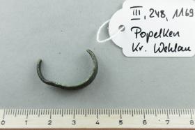 Fingerring