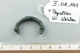 Fingerring