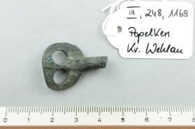 Stachelspornfragment
