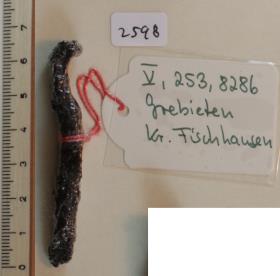Trensenfragment