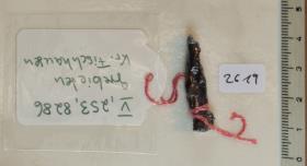 Eisennadelfragment