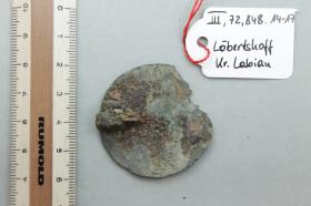 Scheibenfibel