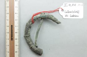 Ringfibel