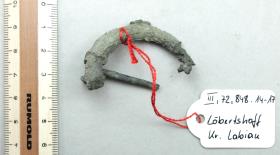 Ringfibel