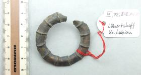 Ringfibel