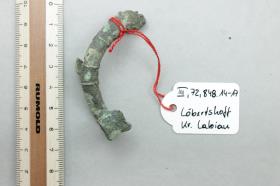 Hufeisenfibel