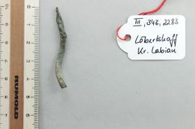 Dorn einer Fibel