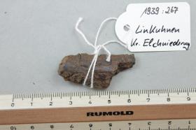 Lanzenspitzenfragment