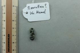 Kettenfragment