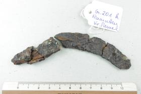 Sichelfragment