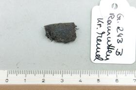 Gürtelriemenfragment