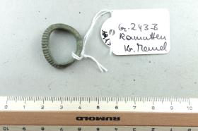 Fingerring
