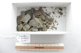Holzfragmente