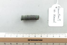 Spiralröllchen